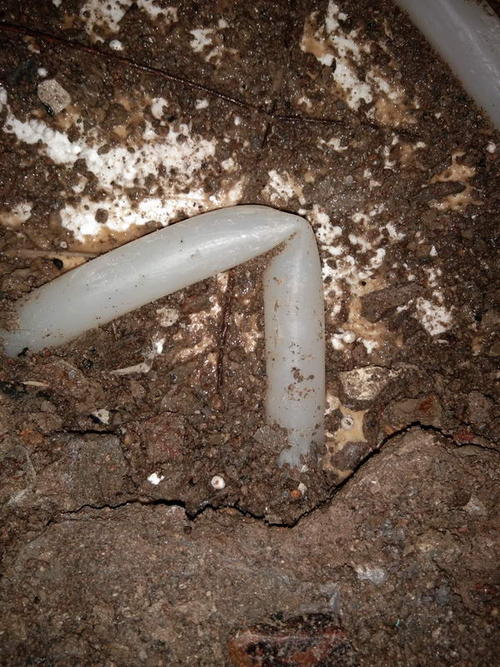 罗城堵点精准查找